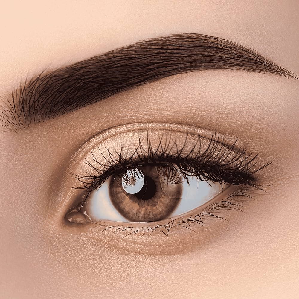 Eyebrow Tinting – Price May Vary